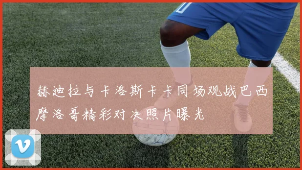 赫迪拉与卡洛斯卡卡同场观战巴西摩洛哥精彩对决照片曝光